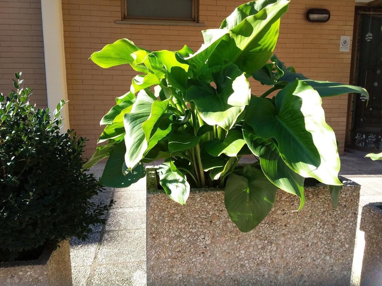 Albergo Nyers Perugia Ngoại thất bức ảnh